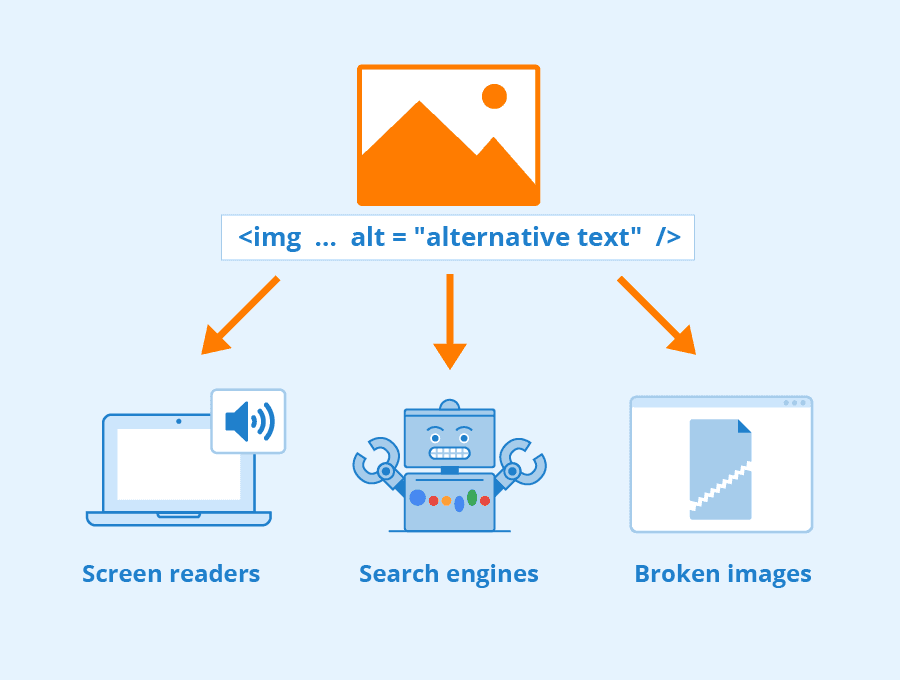 Why Alt Attributes Matter in Web Development